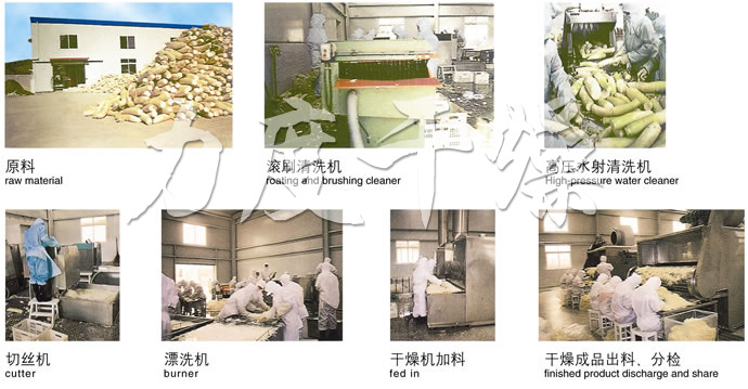 DWC系列脫水蔬菜帶式干燥機(jī) DWC系列脫水蔬菜帶式干燥機(jī)